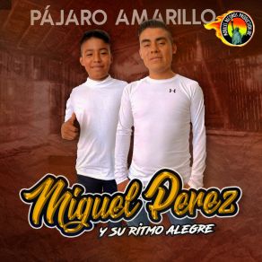 Download track Mi Casita Su Ritmo Alegre