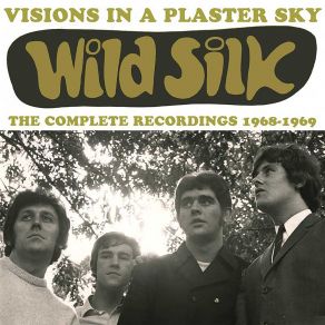 Download track (Vision In A) Plaster Sky Wild Silk