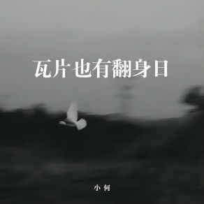 Download track 瓦片也有翻身日 (伴奏版) Xiao He