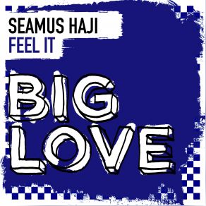 Download track Feel It (Lifelike Summer Of Love Remix) SEAMUS HAJI