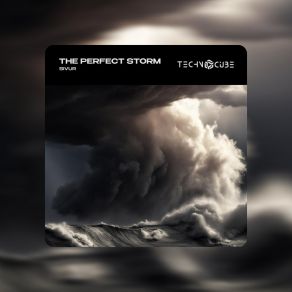 Download track The Perfect Storm (Original Mix) Sivur