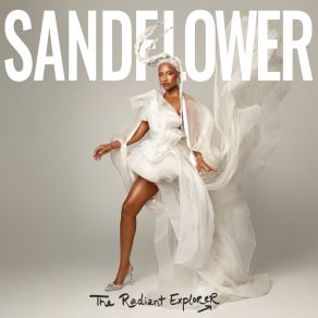 Download track Vision Of The Night Sandflower