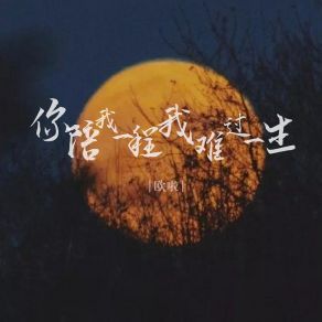 Download track 你陪我一程我难过一生 (Dj豪大大版) 欧啦豪大大