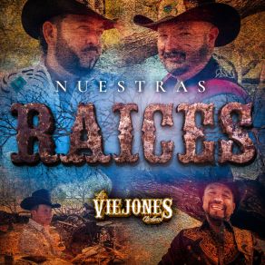 Download track Popurrí Relámpagos: Vida Truncada / Rey Pobre / Me Caíste Del Cielo Los Viejones De Linares