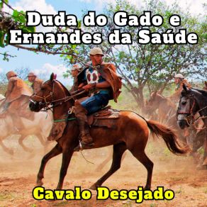 Download track Festa Fernando Macedo Duda Do Gado E Ernandes Da Saúde