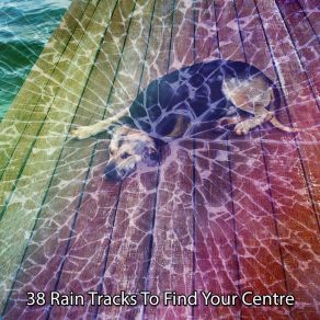 Download track Consistent Showers Rain Sounds