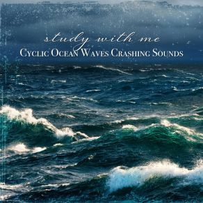 Download track Cyclic Ocean Waves Crashing Sounds, Pt. 2 Sebastian Riegl