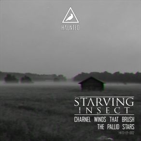 Download track Pallid Stars (14Anger Remix) Starving Insect14anger