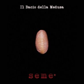 Download track Sudamerica Bacio Della Medusa