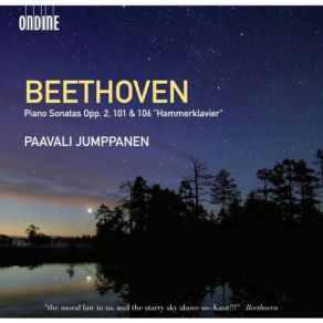 Download track Piano Sonata No. 29, Op. 106, 