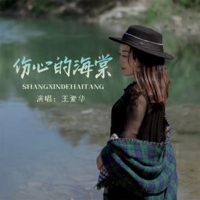 Download track 伤心的海棠 王爱华