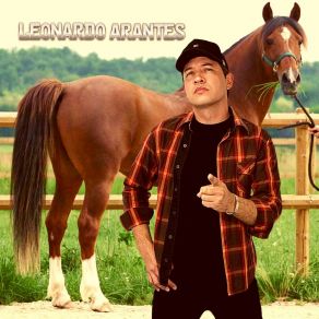 Download track Meu Endereço Leonardo Arantes