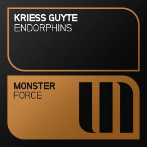 Download track Endorphins (Radio Edit) Kriess Guyte