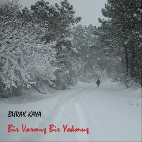 Download track Yürüyecek Kim Var Ki? Burak Kaya