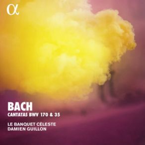 Download track Organ Sonata No. 3 In D Minor, BWV 527: I. Andante Damien Guillon, Le Banquet Celeste, Maude Gratton