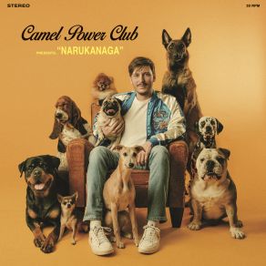 Download track Inana Camel Power Club