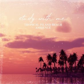 Download track Tropical Island Beach Ambience, Pt. 4 Sebastian Riegl