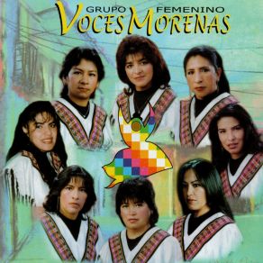 Download track Volver A Los 17 Voces Morenas