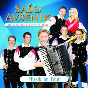 Download track Sommer, Sonne Und Musik Saso Avsenik