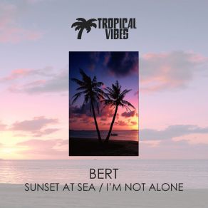 Download track Sunset At Sea (Original Mix) Bert