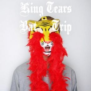 Download track Stolen Police Car King Tears Bat Trip