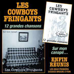 Download track Le Plombier Les Cowboys Fringants