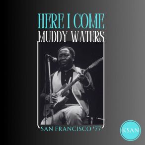 Download track Instrumental & Introduction (Live) Muddy Waters