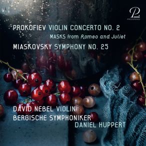 Download track Violin Concerto No. 2 In G Minor, Op. 63: I. Allegro Moderato David Nebel, Daniel Huppert, Bergische Symphoniker