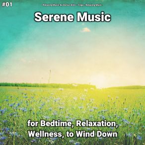 Download track Serene Music, Pt. 61 Relaxing Music