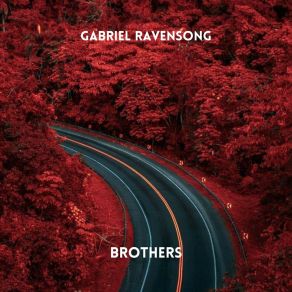 Download track Brothers (Radio Edit) Gabriel Ravensong