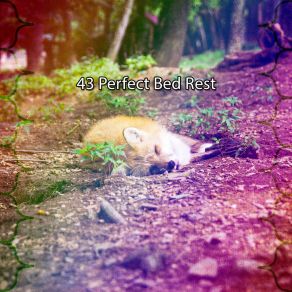 Download track Plot To Sleep Nature Sounds Nature Music