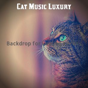 Download track Background For Resting Kittens Cat Music Luxury