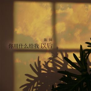 Download track 你用什么给我以后 (伴奏) 陈锦