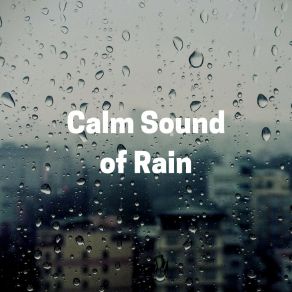 Download track Digital Rain, Pt. 1 Rain Sounds For Relaxation