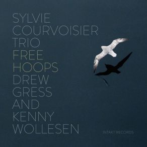 Download track Birdies Of Paradise Kenny Wollesen, Drew Gress, Sylvie Courvoisier Trio