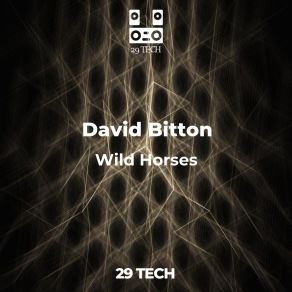 Download track Not Connected David Bitton