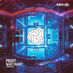 Download track What You Got (Original Mix) PROFF