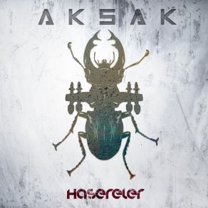 Download track Haşereler Aksak