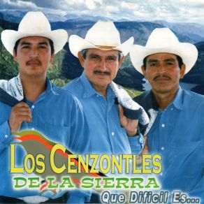 Download track Regresame La Flor Los Cenzontles De La Sierra