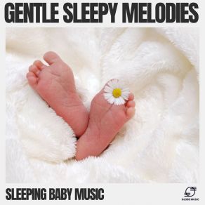 Download track Calm Whispers Sleeping Baby Music