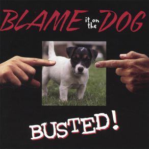 Download track Change My Tune / 4-5-6 (Same Old Song) Blame It On The Dog