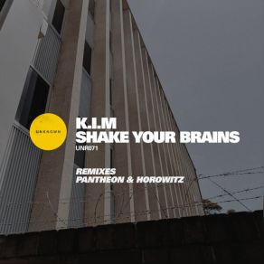 Download track Shake Your Brains (Pantheon & Horowitz Remix) K. I. M.Pantheon, Horowitz