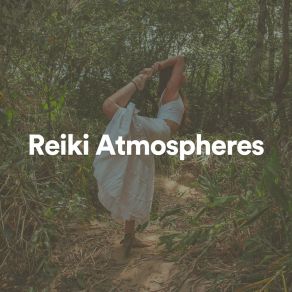 Download track Reiki Atmospheres, Pt. 19 Soothing Music