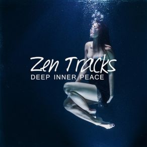 Download track Zen'tracks Mindfulness Meditation Music Spa Maestro