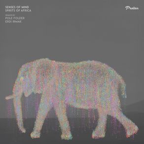 Download track Spirits Of Africa (Erdi Irmak Remix) Senses Of Mind