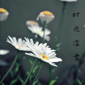 Download track 行走山水间 幻境音乐厂