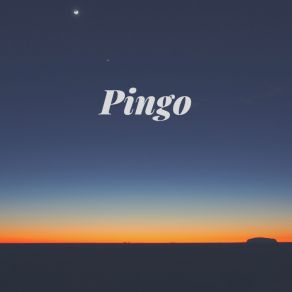 Download track Pingo Dj Dec