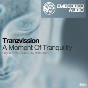 Download track A Moment Of Tranquility (Emre Colak Remix) Tranzvission