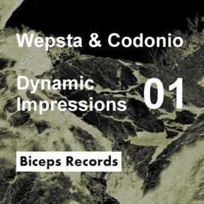 Download track Lost In Transmission (Extended Mix) Wepsta & Codonio