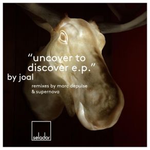 Download track Uncover To Discover (Original Mix) Joal